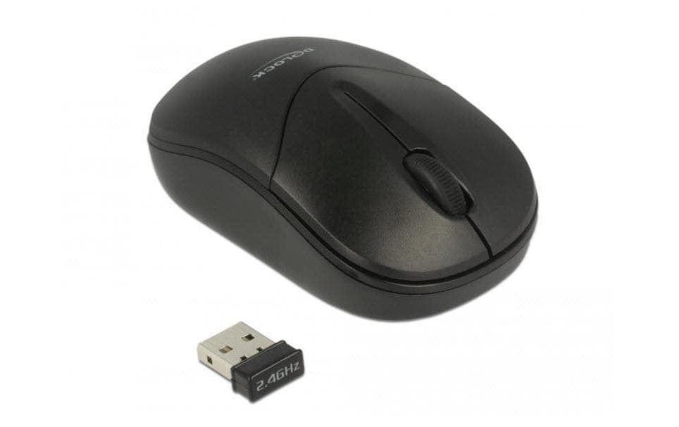 Delock Souris portable 12494 USB sans fil
