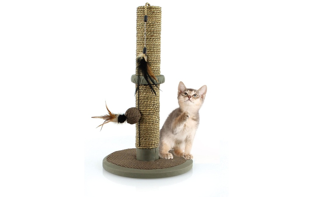 SwissPet Meuble à gratter pour chat Naturo, 50 cm, brun