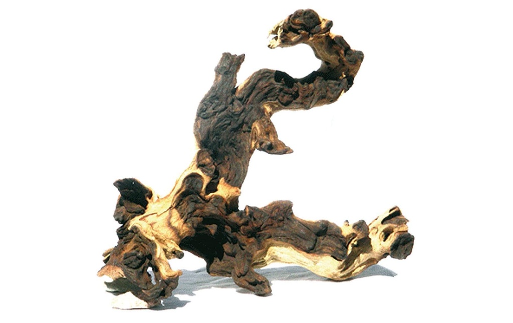 AMAZONAS Décoration Mopani Bois M, 30-35 cm