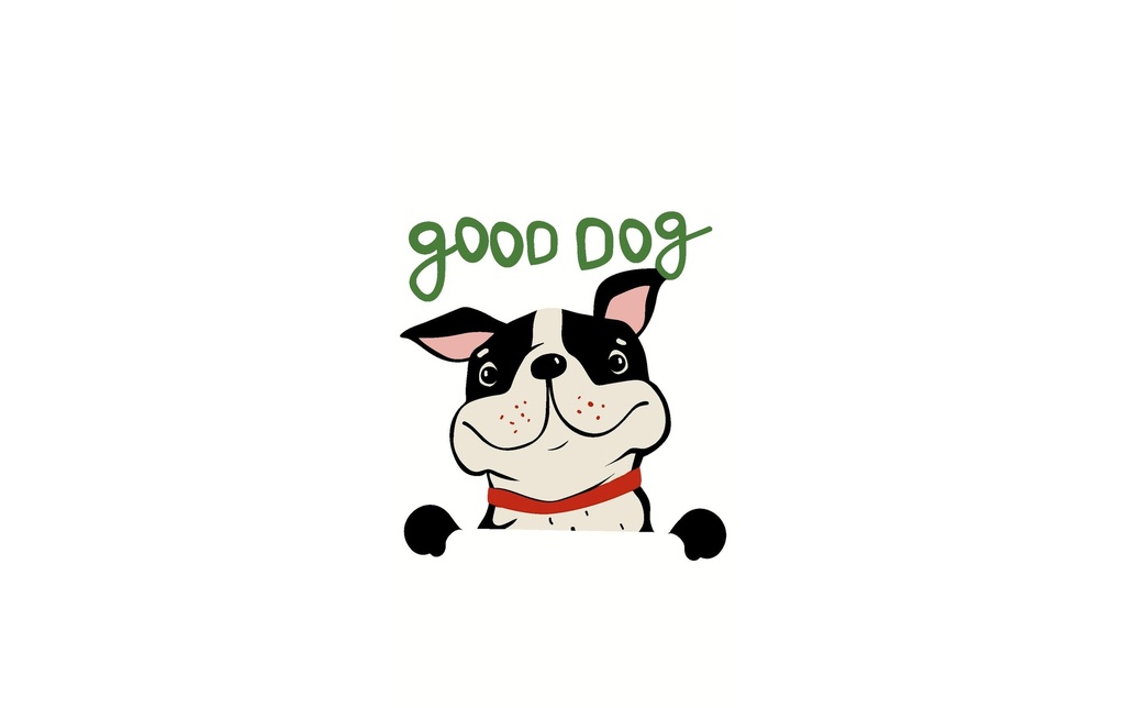 Paper + Design Mouchoirs Good Dog 10 Pièce/s