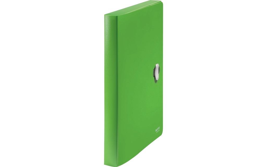 LEITZ Boite de classement  Recycle A