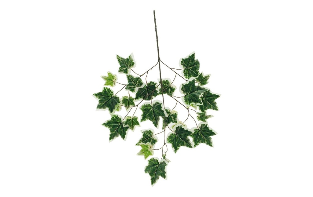 Dekomat AG Plante artificielle Branche de lierre 70 x 40 cm, vert/blanc