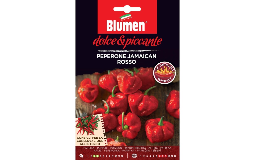 Blumen Semence Paprika Jamaicon rosso