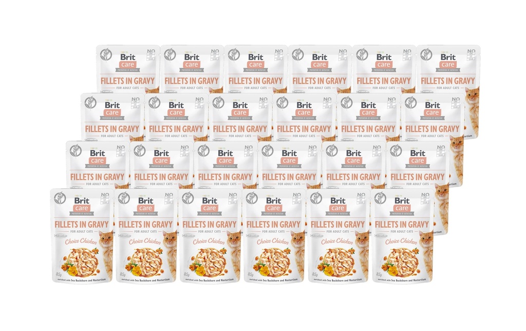 Brit Alimentation humide Care Fillets Sauce Poulet, 24 x 85 g