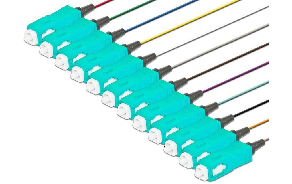 Lightwin Fibres en tire-bouchon ST, MM, OM3, 2m 12 Pièce/s