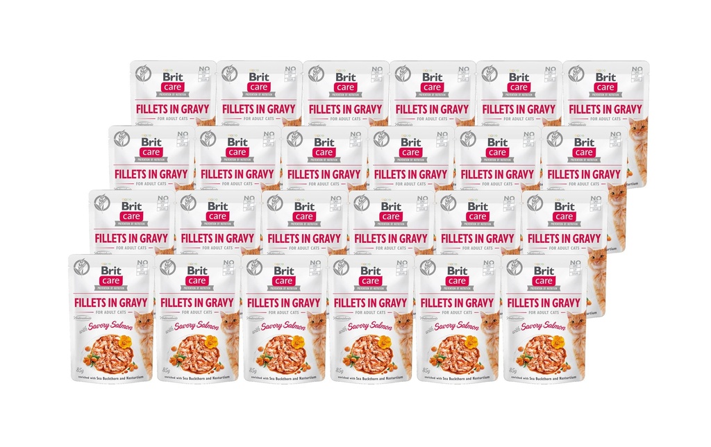 Brit Alimentation humide Care Fillets Sauce Saumon, 24 x 85 g