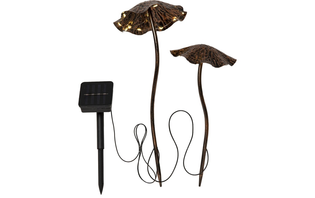 Star Trading Décoration solaire Lumini Marron 50 cm