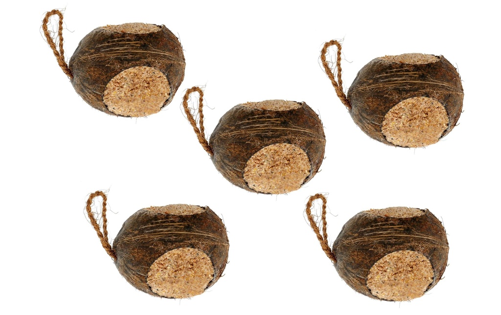 Eric Schweizer Nourriture d’hiver pour oiseaux Coconut, 5 x 500 g