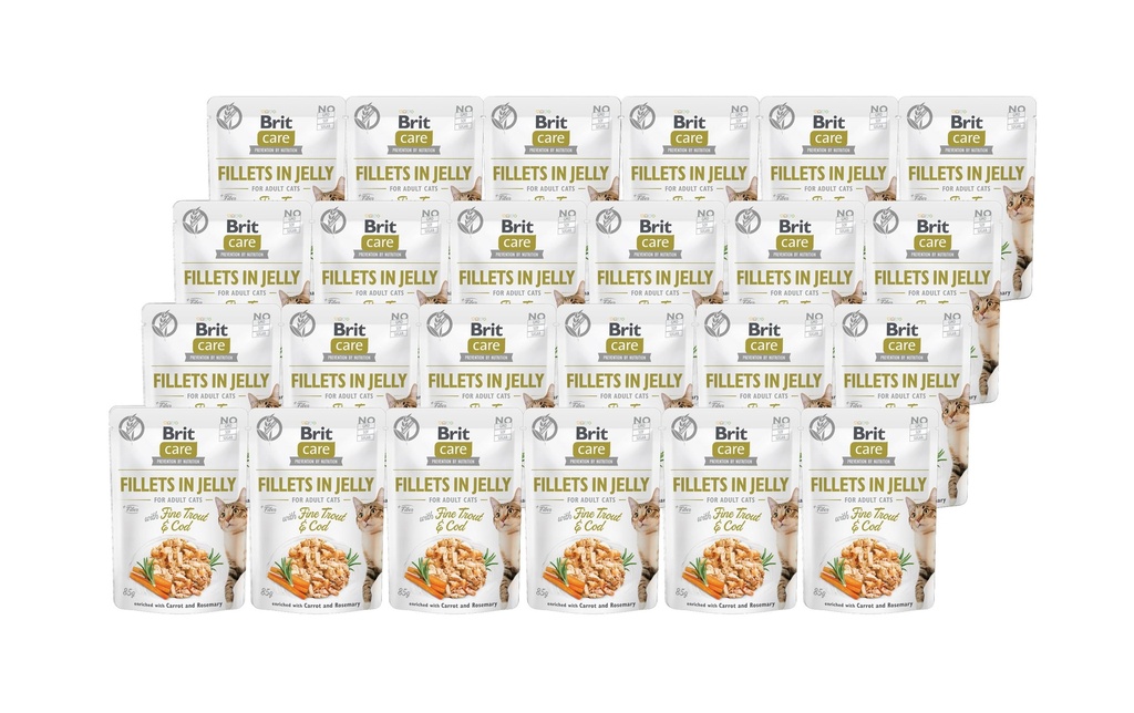 Brit Alimentation humide Care Fillets Gelée Forrelle & Cabillaud, 24 x 85 g
