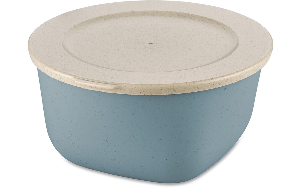 Koziol Boîte à provisions Connect 2 l, Bleu