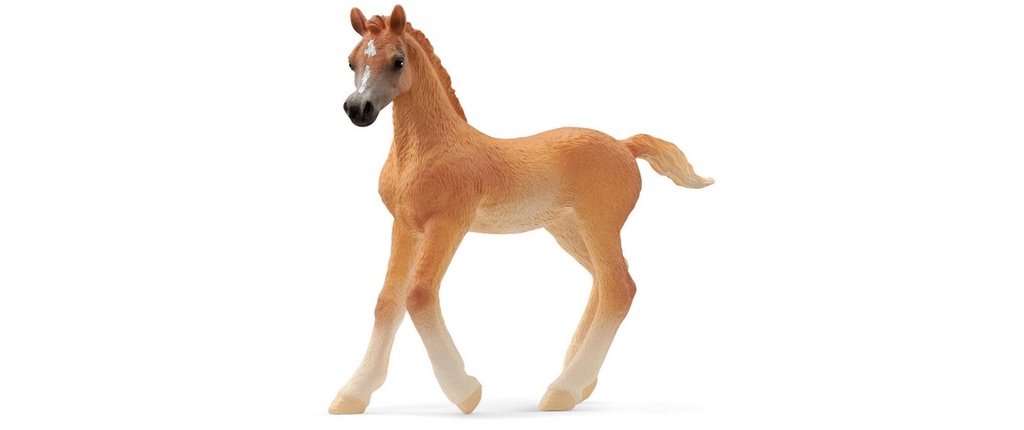 Schleich Figurine de jeu Horse Club Poulain arabe