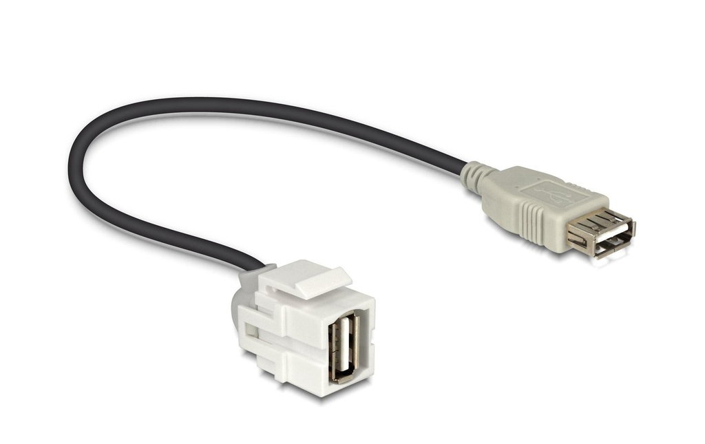 Delock Module Keystone USB2.0, A - A, (f-f) coudé à 250°, blanc