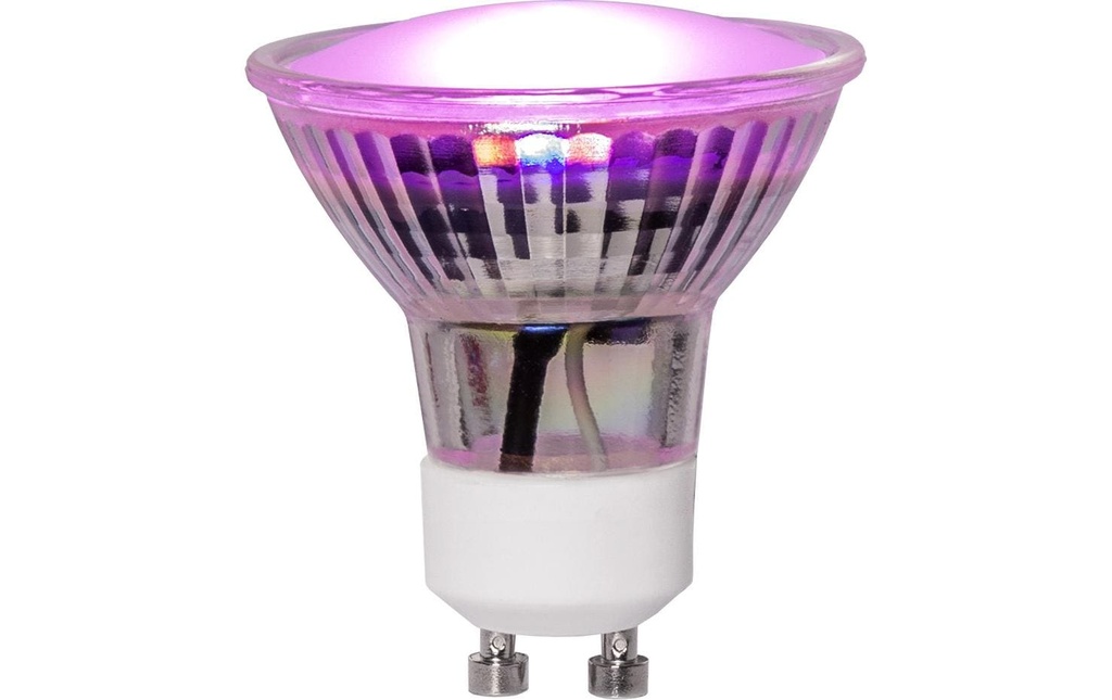 Star Trading Ampoules Plantes LED GU10, 3.5 W, 42 lm