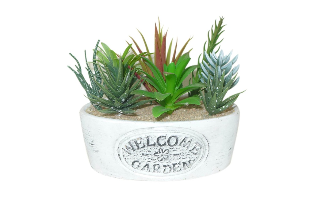 Dameco Plante artificielle Succulentes «Welcome» 16 cm, avec Pot