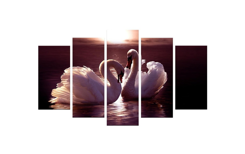 Wallxpert Photo Couple de cygnes 5 pièces, 110 x 60 cm