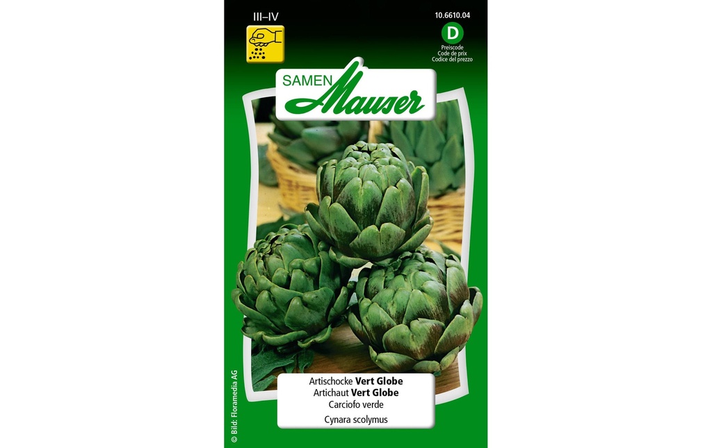 Samen Mauser Semence Artichaut Vert Globe