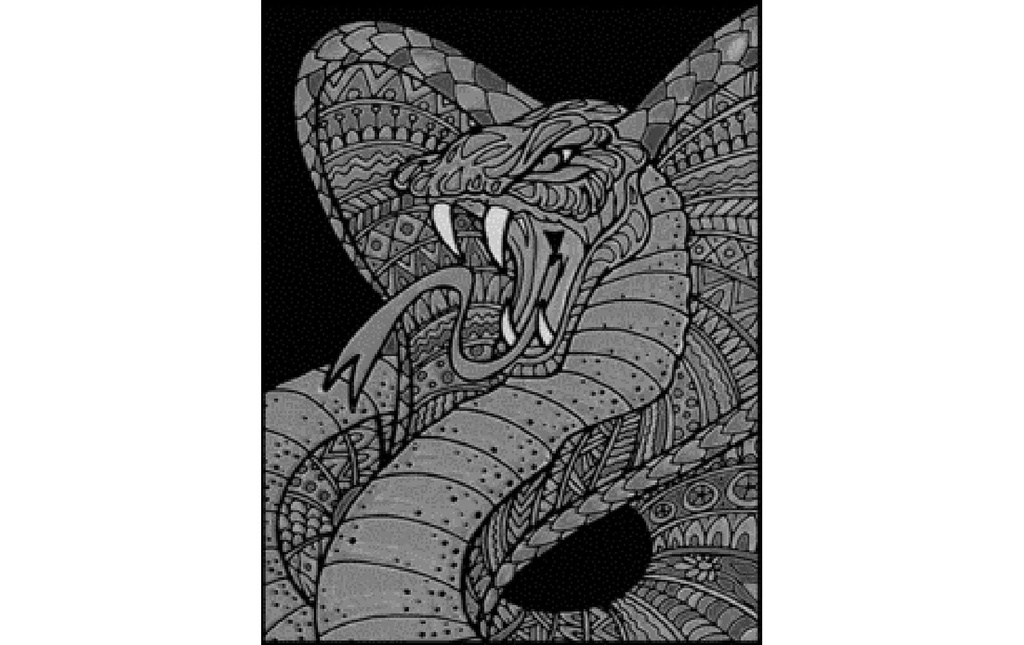 Tataruga Image de velours A4, cobra