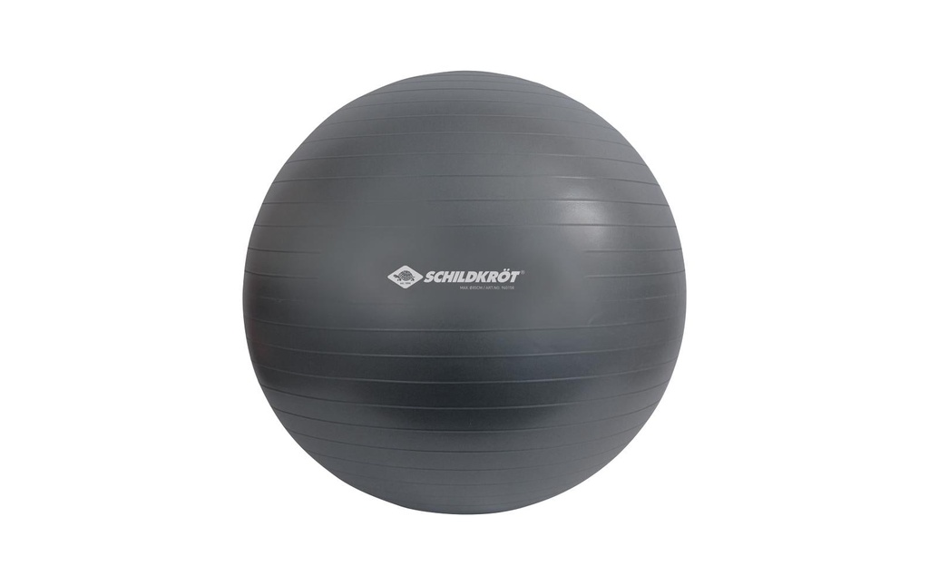 Schildkröt Fitness Ballon de gymnastique 85 cm