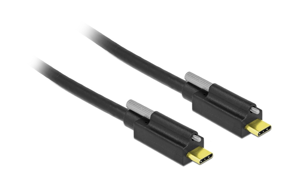 Delock Câble USB 3.1 SuperSpeed USB-C - USB-C 1 m