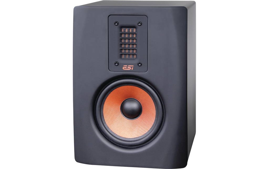 ESI Moniteur de studio Unik05+ Noir