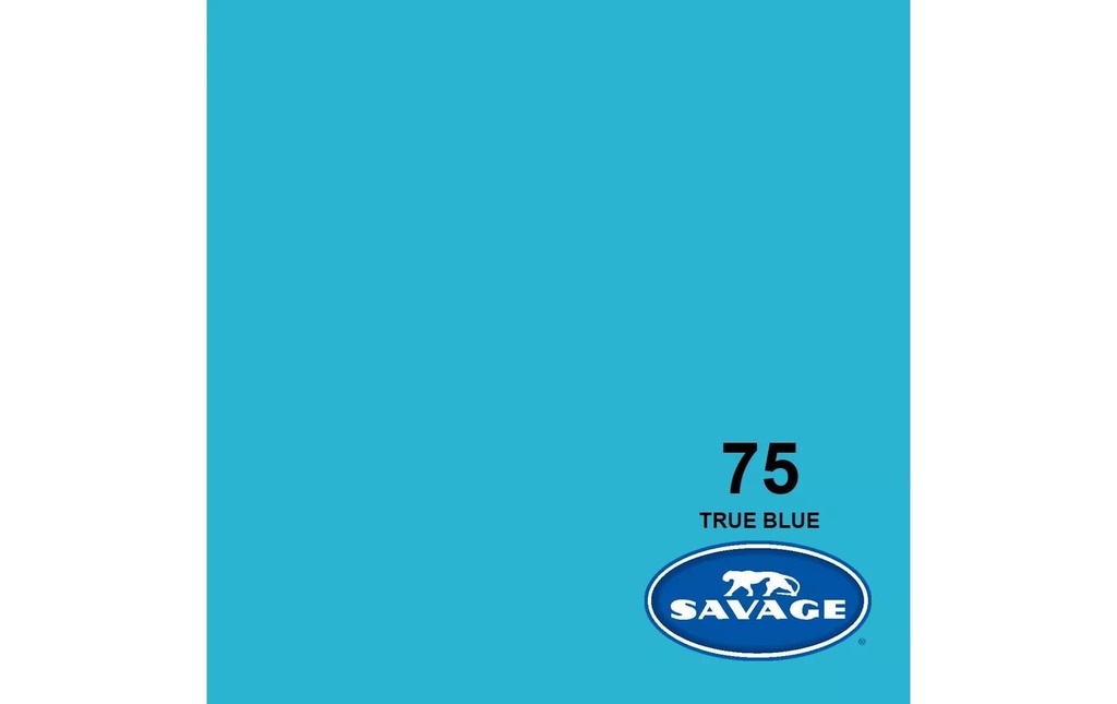 Savage Fond Papier 2.72 x 11m True Blue