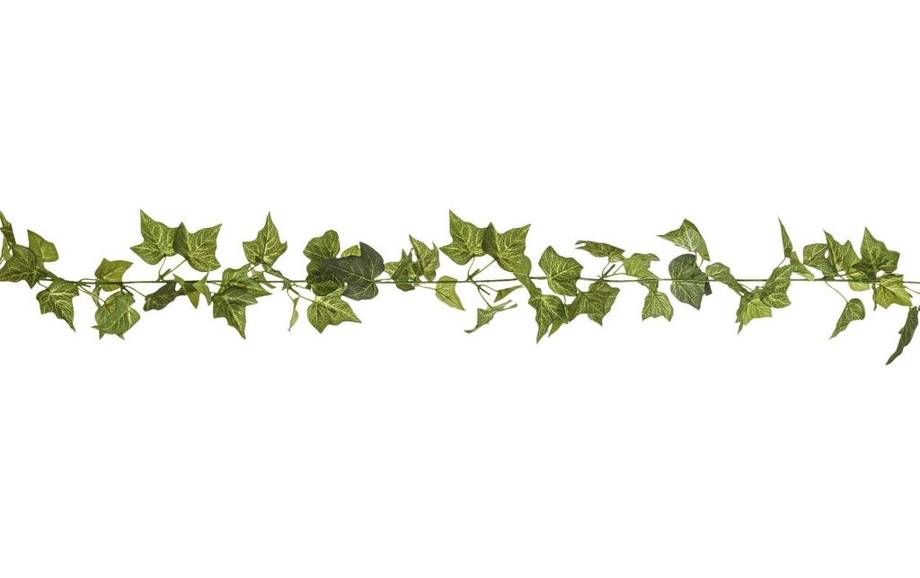 Botanic-Haus Guirlande de lierre 180 cm, soie artificielle