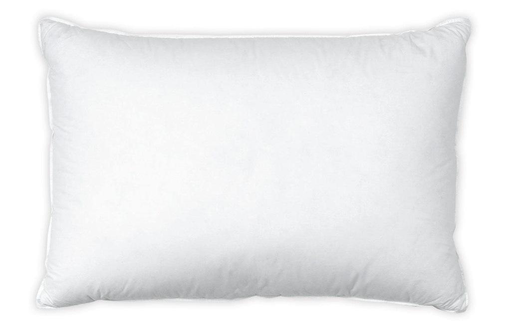 Interio Bettwaren Oreiller classique Basic Regular 50 x 70 cm