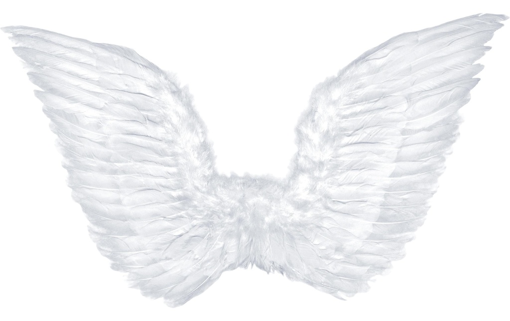 Partydeco Accessoires de fête Ailes d'ange 75 x 45 cm, blanc