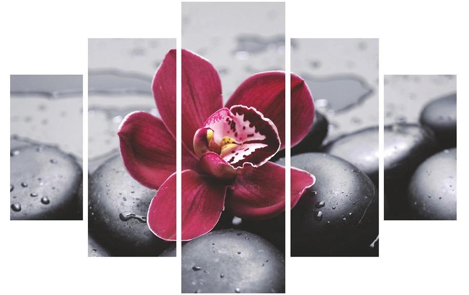 Wallxpert Photo Orchidée 5 pièces, 92 x 56 cm