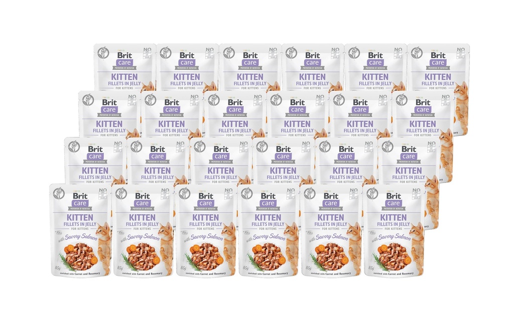 Brit Alimentation humide Care Fillets Gelée Kitten saumon, 24 x 85 g