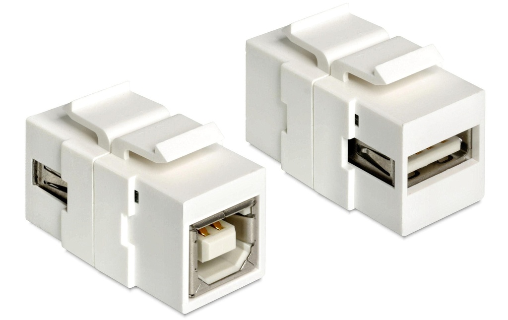 Delock Module Keystone USB 2.0, A – B, (f-f) Blanc