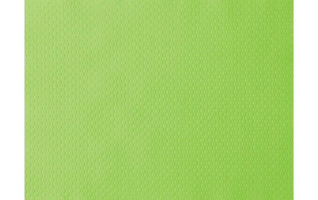 Duni Set de table 500 pièces 30 cm x 40 cm, Vert
