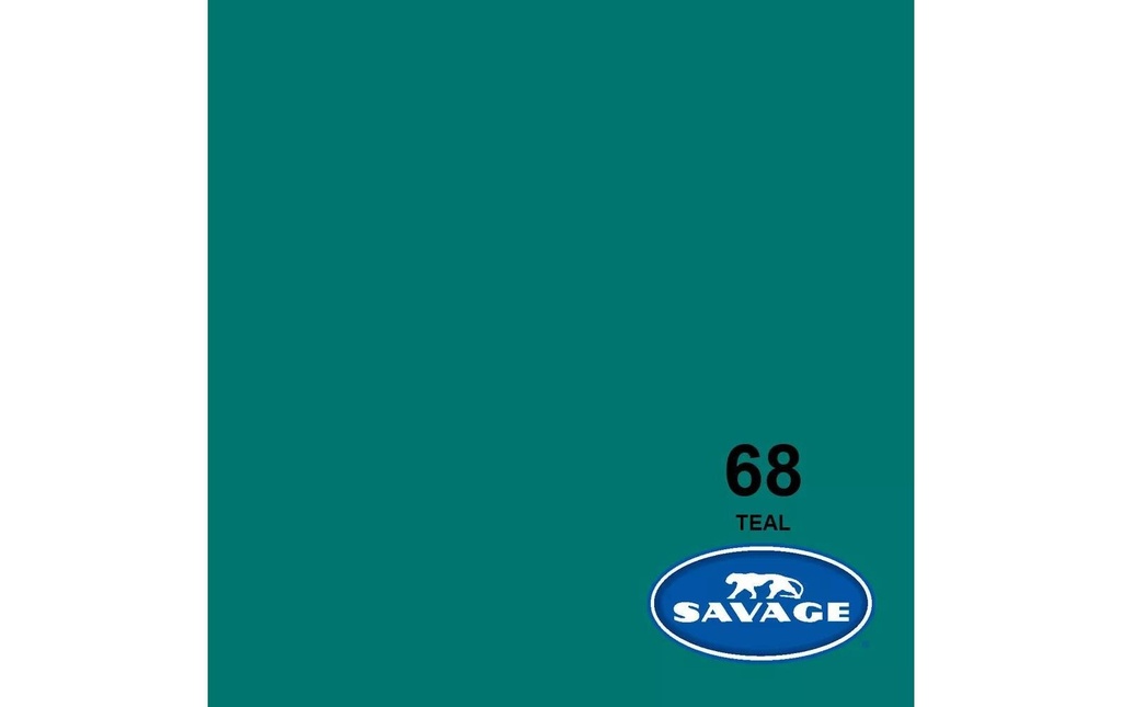 Savage Fond Papier 2.72 x 11m Teal