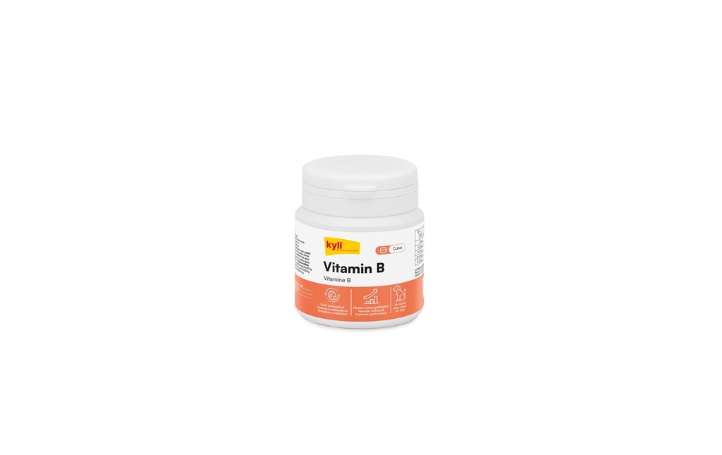 kyli Supplément alimentaire pour chiens La vitamine B, 120 g