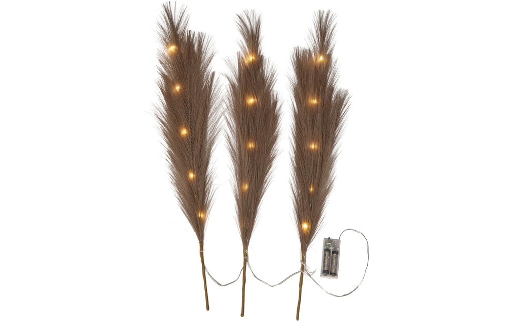 Star Trading Branche décorative Plumes Intérieur, brun, hauteur 65 cm