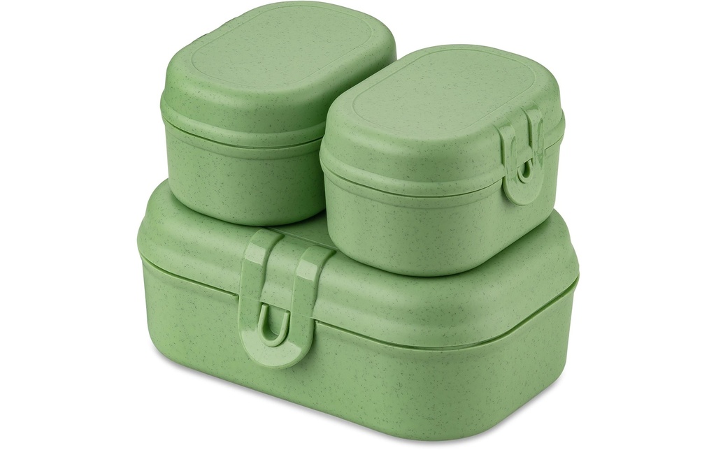 Koziol Boîte casse-croûte Pascal Ready Mini Vert