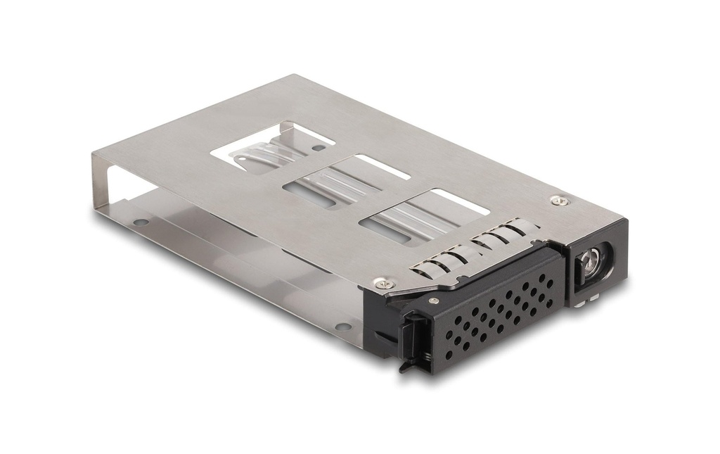 Delock Rack amovible U.2 NVMe 2.5