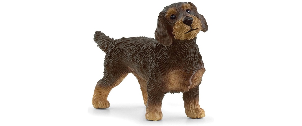 Schleich Figurine de jeu Farm World Teckel à poil dur