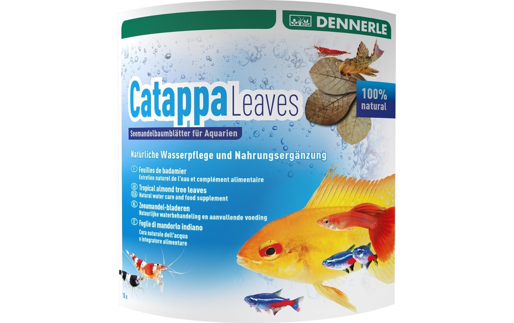 Dennerle Entretien de l'eau Catappa Leaves, 10 pièces