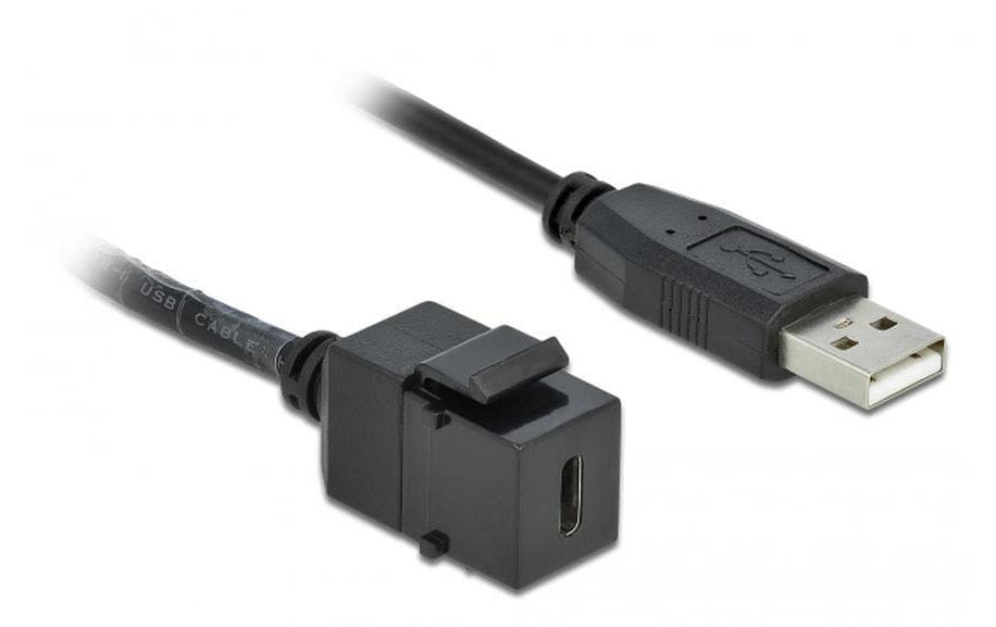 Delock Module Keystone USB2.0 USB-A – USB-C, 25cm noir