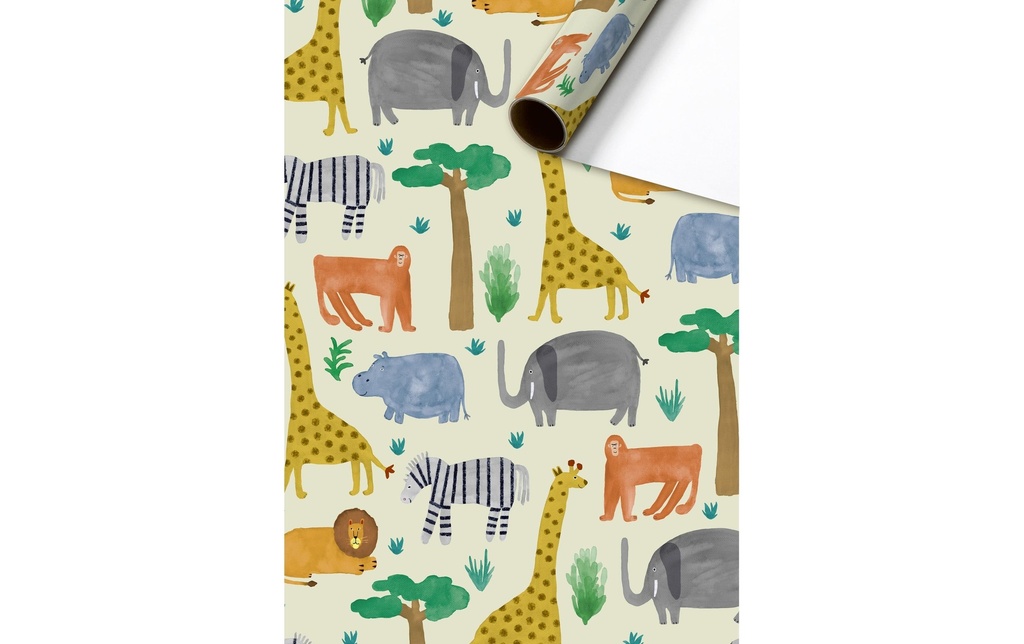 Stewo Papier cadeau Timba 70 x 200 cm