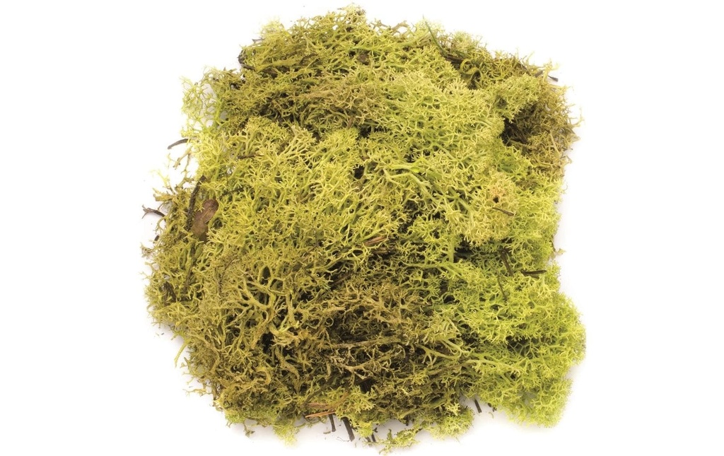 Glorex Mousse Islande Vert clair