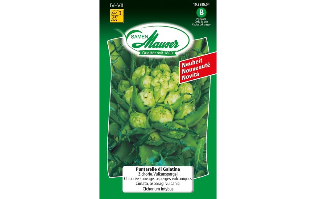 Samen Mauser Semence Puntarelle di Galatina Chicorée, asperge volcanique