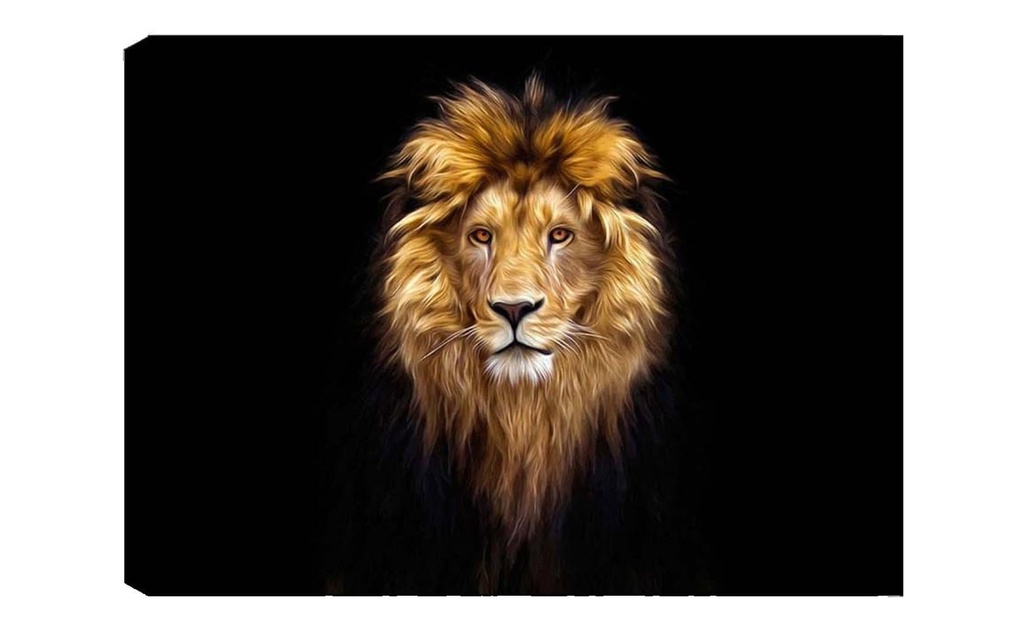 Wallxpert Photo Lion 50 x 70 cm