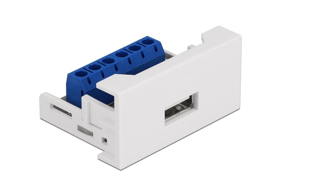 Delock Adaptateur USB 2.0 Easy 45 Module Bloc de terminaison - Prise USB A