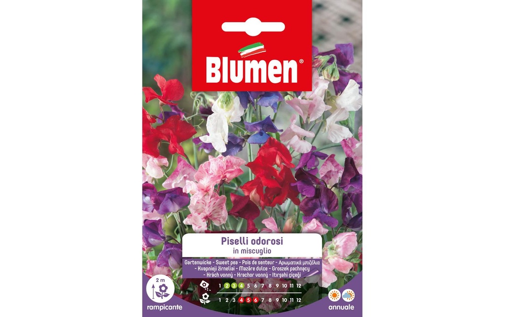 Blumen Semence Vesce de jardin Mix