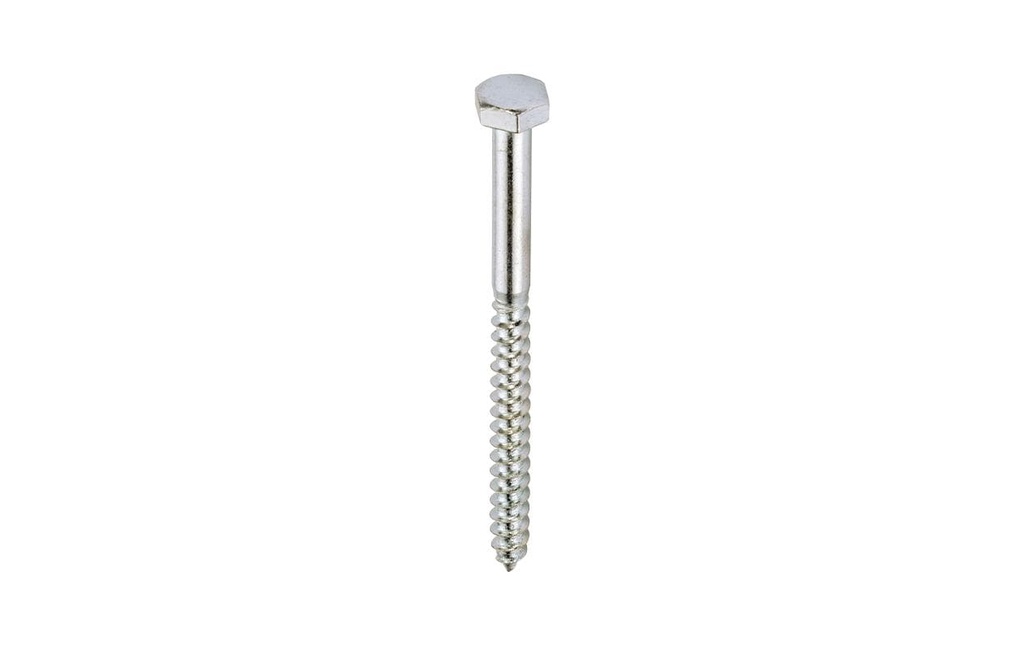 FTM Vis à clé Tête hexagonale 10 x 120 mm Acier inoxydable, 2 pièces