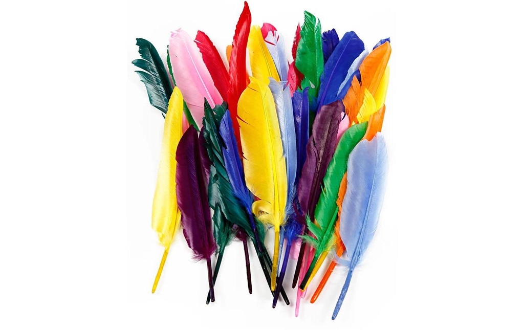 Creativ Company Plumes 17 - 20 cm 250 pièces