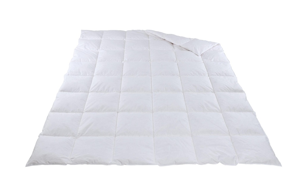 DOR Duvet Organic Toute l'année Léger 200 x 210 cm