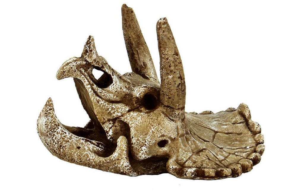 SuperFish Décoration Crâne Tricératops M
